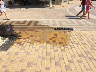 Прикрепленное изображение: IMG_0844.JPG